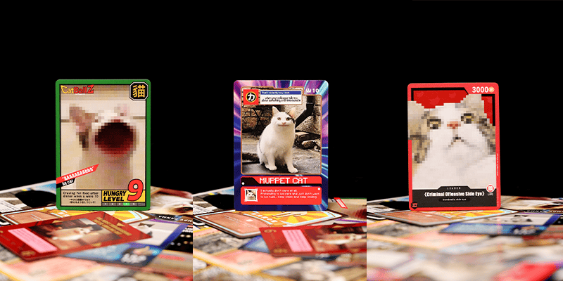 one custom printed trading card showing a cat