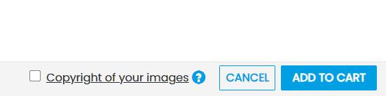 screenshot of qpmn design tool close up of copyright image button