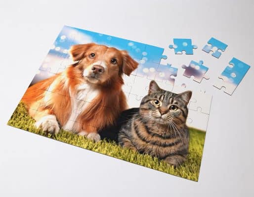 cat and dog jigsaw puzzle