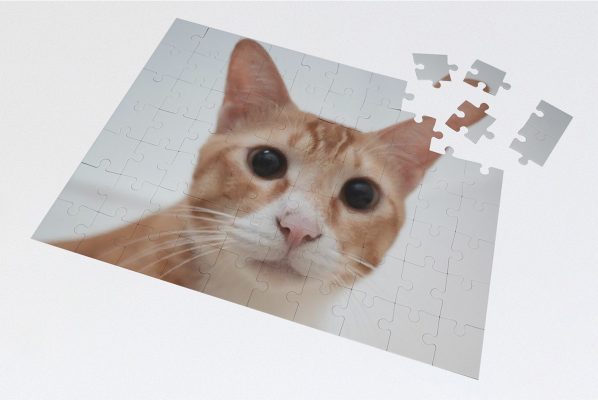 jigsaw puzzle with cat image