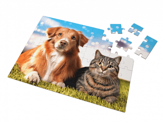 dog and cat image jigsaw puzzle